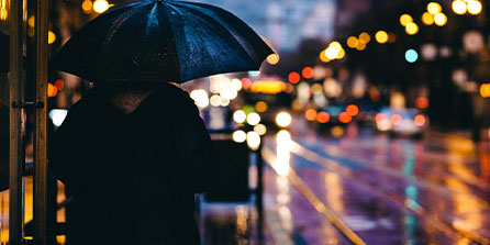 西雅图海湾者技战术演练密集，冲刺冠军全力以赴